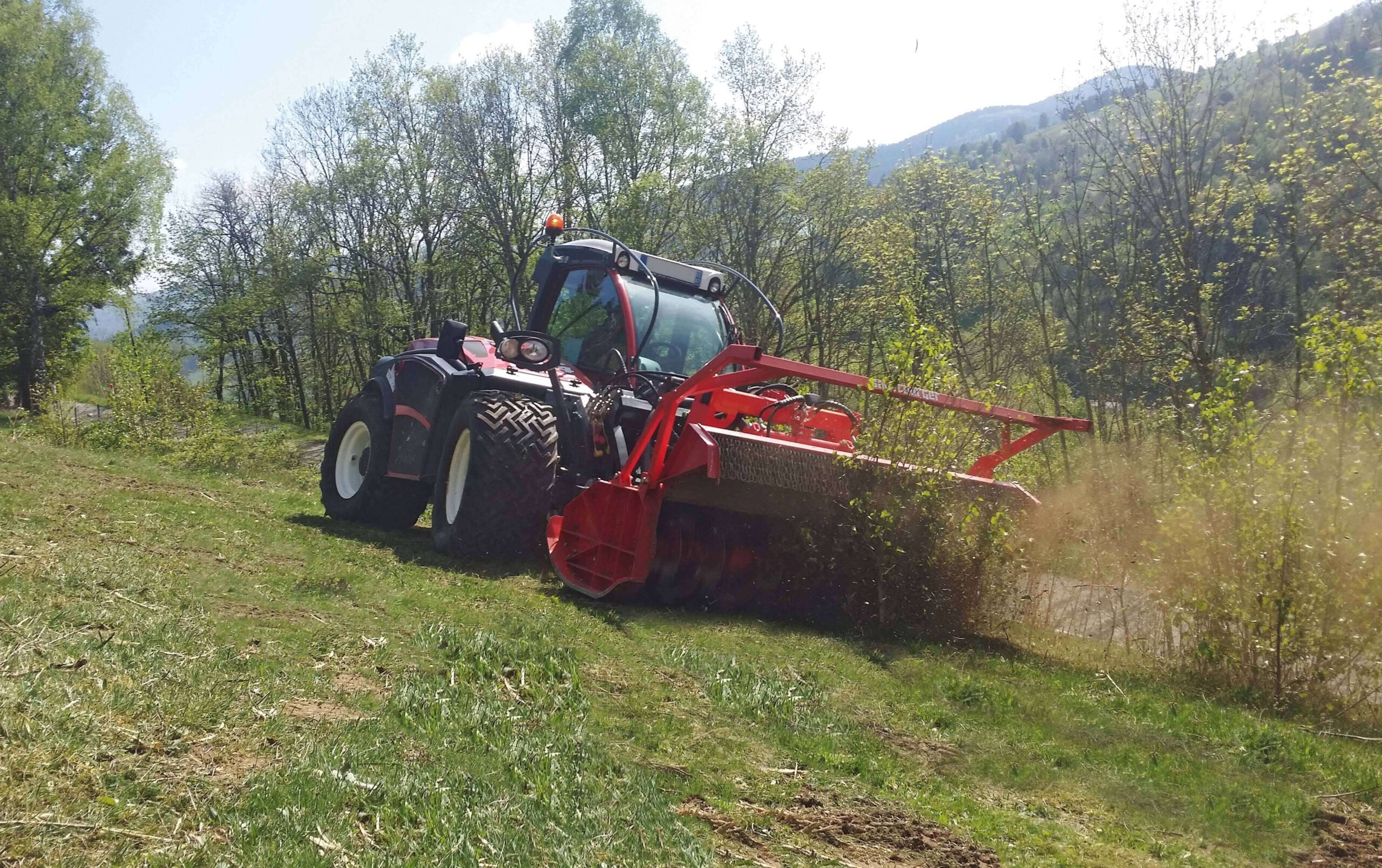 sauerburger-spectral-forstmulcher-forestry-mulcher