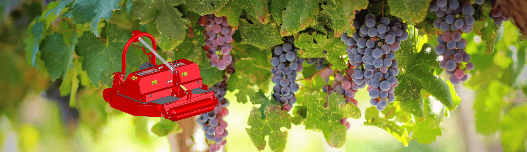 castor-sichelmulcher-sauerburger-panorama-mulcher-weinbau-wine-obstbau
