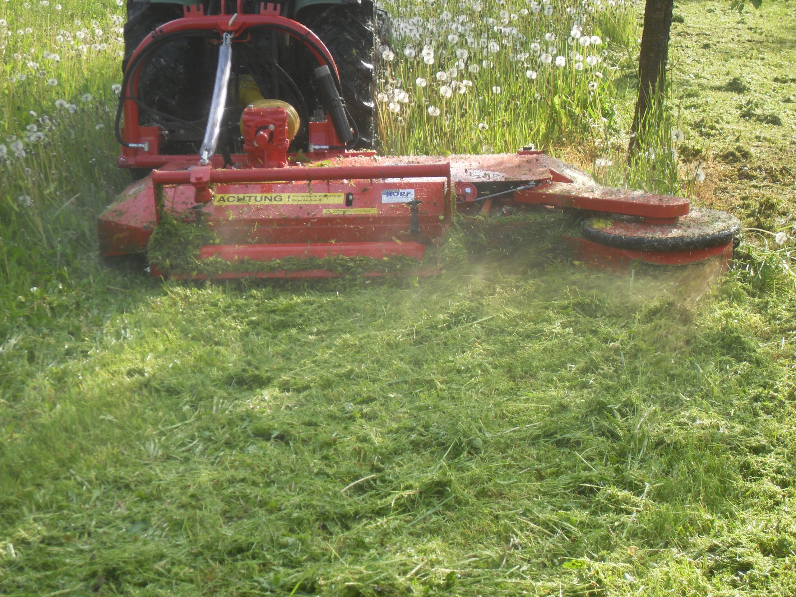 Sauerburger-Sichelmulcher-Draco-Sichelmulchgerät-mulchgerät-mulcher-sichel