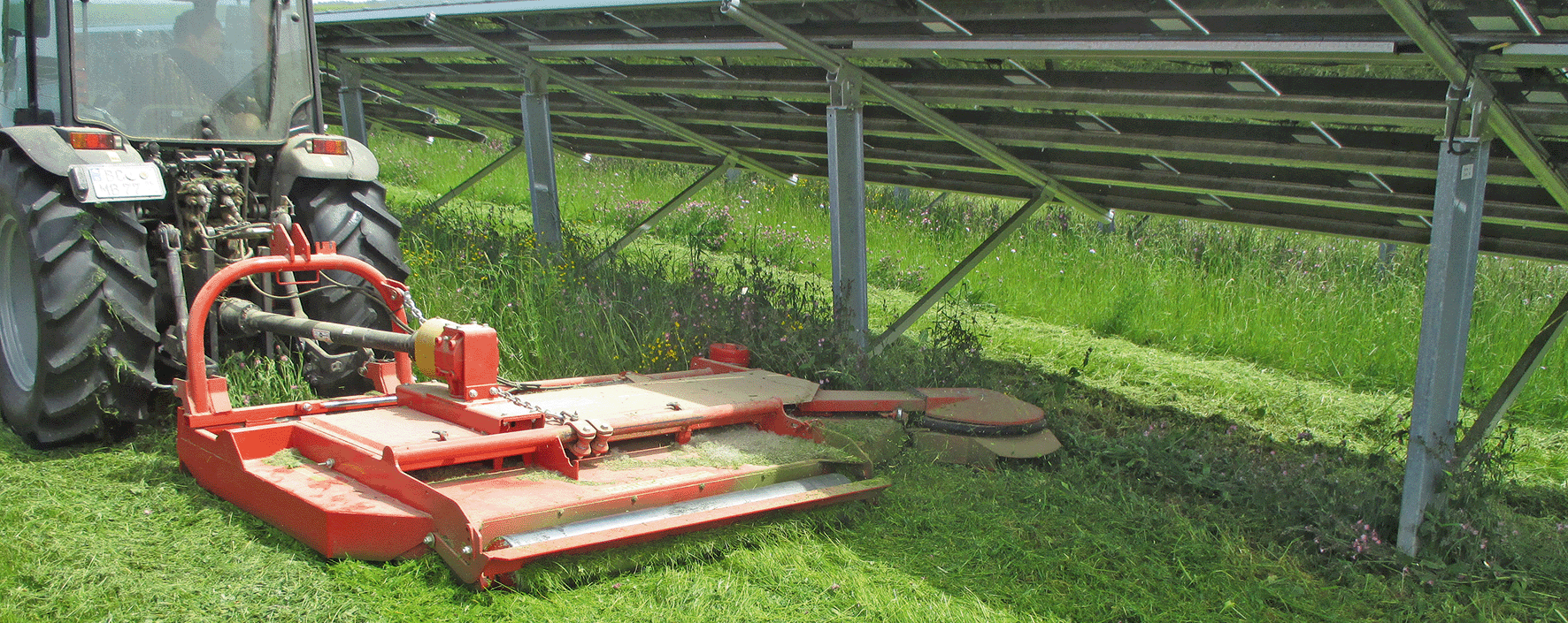 Sauerburger-Sichelmulcher-Draco-Sichelmulchgerät-mulchgerät-mulcher-sichel