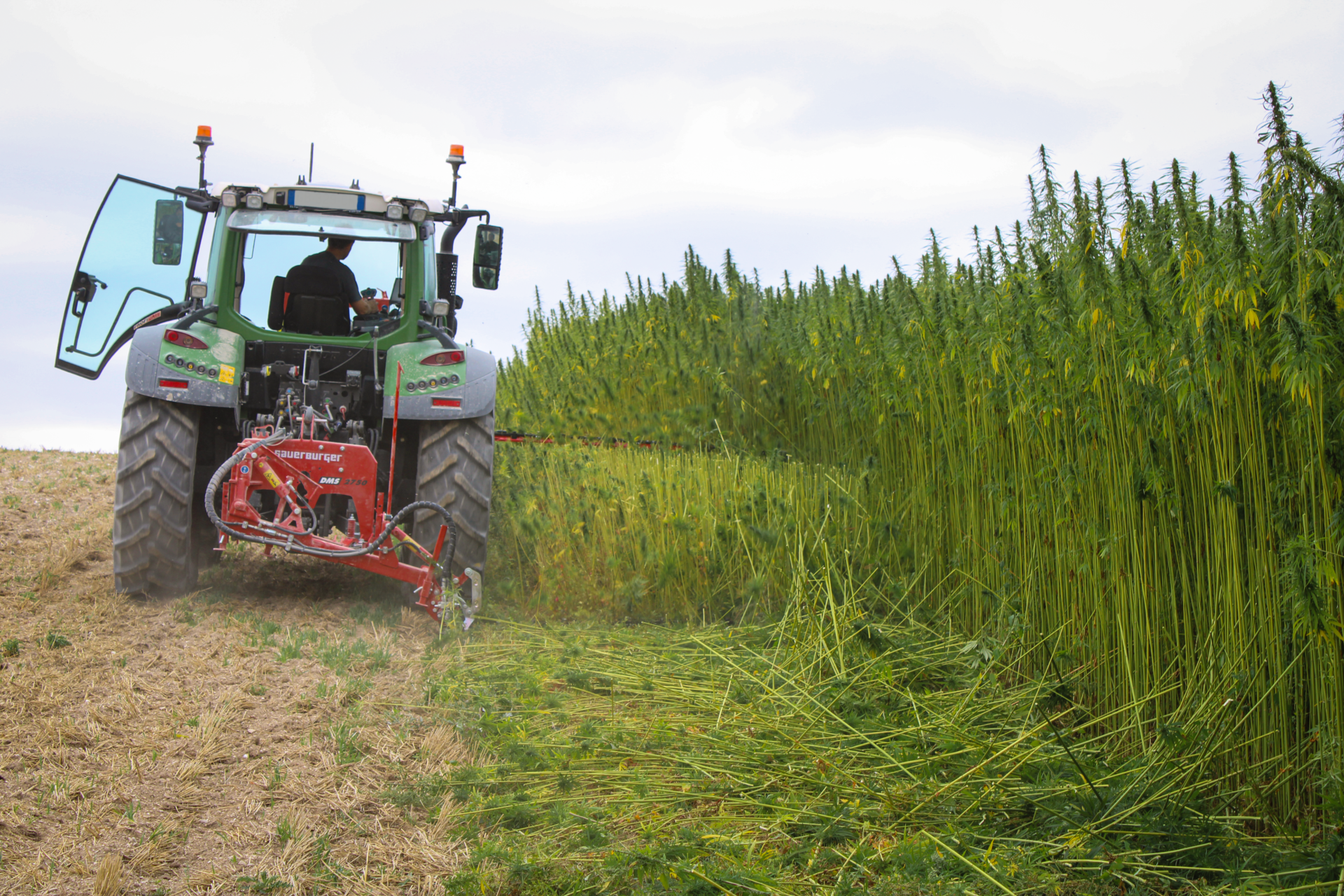 2022-Hanfschneidwerk-Fendt-FR-01_bearbeitet
